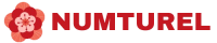 Logo numturel.com